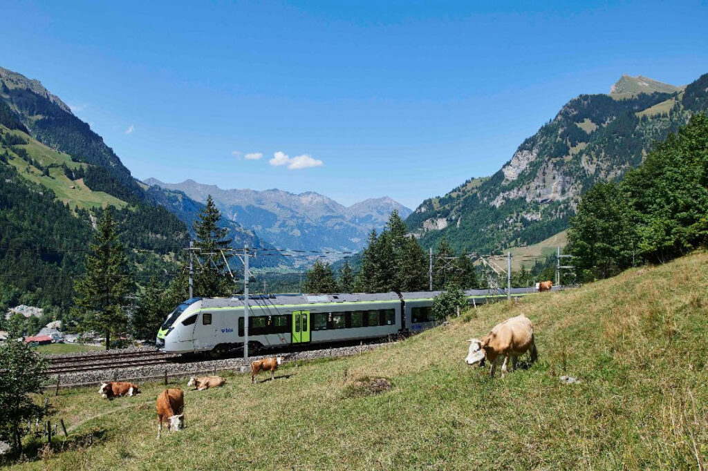 tour trenino verde delle alpi