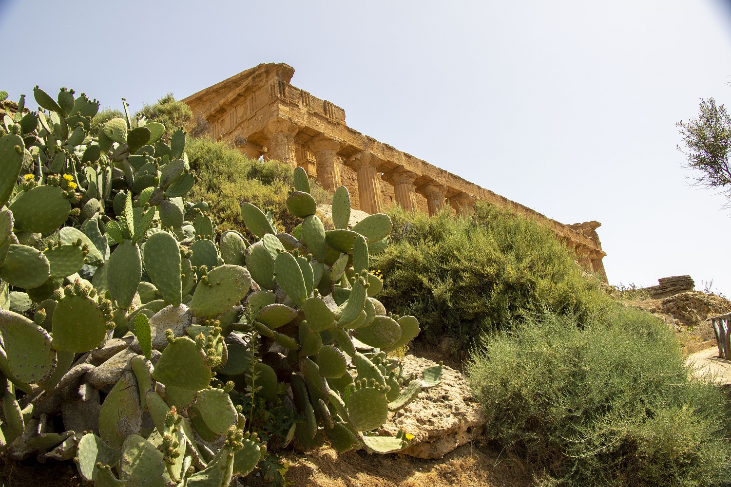 Sicilia torna in zona gialla: riaprono musei e parchi archeologici ...