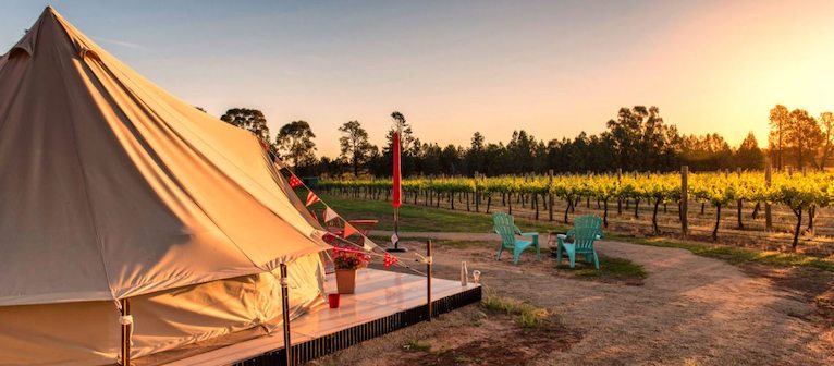 I nuovi trend dell'enoturismo dal wine glamping agli hub urbani ...